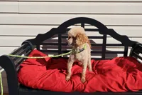 processed/a4f2e308-564c-4bdd-8834-934bc7b0bdf6/listing/5bd78db6-5ccb-4f84-bb81-471c0a626946/a1b62af5-6bef-4d7e-8d24-14564a4e34b2