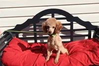 processed/a4f2e308-564c-4bdd-8834-934bc7b0bdf6/listing/5bd78db6-5ccb-4f84-bb81-471c0a626946/ba413c5c-2daf-4453-8468-e7ba48aa18a2