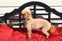 processed/a4f2e308-564c-4bdd-8834-934bc7b0bdf6/listing/5bd78db6-5ccb-4f84-bb81-471c0a626946/d7a6c557-7a80-465b-b313-503023600a4f