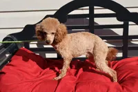 processed/a4f2e308-564c-4bdd-8834-934bc7b0bdf6/listing/5bd78db6-5ccb-4f84-bb81-471c0a626946/e0d48316-e982-4190-97a2-d94a4301067b