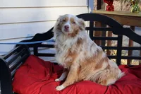 processed/a4f2e308-564c-4bdd-8834-934bc7b0bdf6/listing/920a9f59-c99d-4b27-ad3b-1cc717af042a/2fbd1998-315a-44f2-a337-0b1230a41f7a