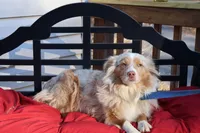 processed/a4f2e308-564c-4bdd-8834-934bc7b0bdf6/listing/920a9f59-c99d-4b27-ad3b-1cc717af042a/7c84da7a-2e4b-4d3b-adbb-bedcad5a7e80