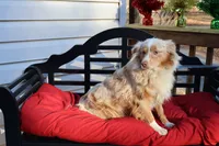 processed/a4f2e308-564c-4bdd-8834-934bc7b0bdf6/listing/920a9f59-c99d-4b27-ad3b-1cc717af042a/823a1807-fbc8-465b-9f18-ce25ea7f6c45