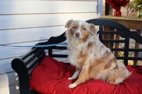 processed/a4f2e308-564c-4bdd-8834-934bc7b0bdf6/listing/920a9f59-c99d-4b27-ad3b-1cc717af042a/922dd007-7ff3-4e68-92d5-f2599f0ccbb3