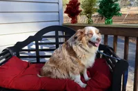 processed/a4f2e308-564c-4bdd-8834-934bc7b0bdf6/listing/a83dff6d-d9bd-445a-8abe-772091c981a1/53560128-c770-4b53-8918-78c0bf2ccdec