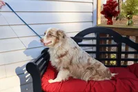 processed/a4f2e308-564c-4bdd-8834-934bc7b0bdf6/listing/a83dff6d-d9bd-445a-8abe-772091c981a1/7b25fbff-1fb5-4618-83b3-cf8d1ab4edb5