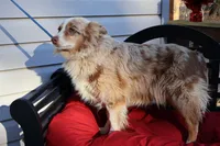 processed/a4f2e308-564c-4bdd-8834-934bc7b0bdf6/listing/a83dff6d-d9bd-445a-8abe-772091c981a1/b3dc7640-a83b-4b18-b33e-539f6ed4ac33