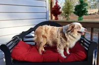 processed/a4f2e308-564c-4bdd-8834-934bc7b0bdf6/listing/a83dff6d-d9bd-445a-8abe-772091c981a1/ddf53c75-2678-42b4-97dd-1ed93a5a5fa0