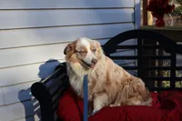 processed/a4f2e308-564c-4bdd-8834-934bc7b0bdf6/listing/a83dff6d-d9bd-445a-8abe-772091c981a1/e6271183-26fa-4a4e-9778-53be70bc0b32