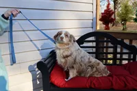 processed/a4f2e308-564c-4bdd-8834-934bc7b0bdf6/listing/a83dff6d-d9bd-445a-8abe-772091c981a1/ff10ebf9-179d-411b-bb91-f7f309e096a8