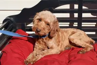 processed/a4f2e308-564c-4bdd-8834-934bc7b0bdf6/listing/f0477fcb-c169-4711-bdfa-712cc653e12d/43f01f50-881c-488f-99ea-c4af73c79532