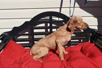 processed/a4f2e308-564c-4bdd-8834-934bc7b0bdf6/listing/f0477fcb-c169-4711-bdfa-712cc653e12d/5e5931c0-58e2-4471-ad22-ba4659013ea3