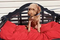 processed/a4f2e308-564c-4bdd-8834-934bc7b0bdf6/listing/f0477fcb-c169-4711-bdfa-712cc653e12d/7b45e99f-4d1c-4e8c-80b2-036750129811