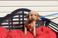 processed/a4f2e308-564c-4bdd-8834-934bc7b0bdf6/listing/f0477fcb-c169-4711-bdfa-712cc653e12d/9f192188-520b-4faa-ac8e-9523625f6a25