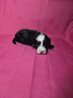 processed/a4f6803f-876d-4999-aed7-f05ecd193936/listing/15d7642a-1dd6-4235-9f45-603f2b0af466/4edb2f4a-fc8d-491d-b7b1-96780b6d8830