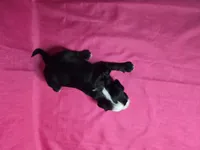 processed/a4f6803f-876d-4999-aed7-f05ecd193936/listing/15d7642a-1dd6-4235-9f45-603f2b0af466/c1bc21d7-907a-4f9b-915a-8d55d437bd60