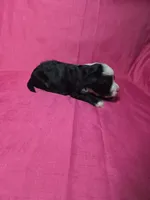 processed/a4f6803f-876d-4999-aed7-f05ecd193936/listing/15d7642a-1dd6-4235-9f45-603f2b0af466/de4b75b8-7b36-464c-8973-134bfe8246fd