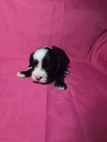 processed/a4f6803f-876d-4999-aed7-f05ecd193936/listing/15d7642a-1dd6-4235-9f45-603f2b0af466/ebe1f5df-cb44-41e6-b48d-423a846f3eab