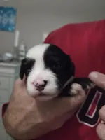 processed/a4f6803f-876d-4999-aed7-f05ecd193936/listing/15d7642a-1dd6-4235-9f45-603f2b0af466/f0462899-300c-45da-839b-5229a8dbb723