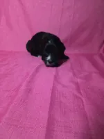 processed/a4f6803f-876d-4999-aed7-f05ecd193936/listing/720ce182-d3a4-454d-8e06-57dce83c69fd/38ebdb97-148b-4431-b694-fa0fb18f1cd9