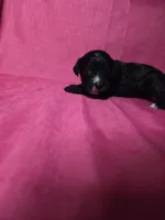 processed/a4f6803f-876d-4999-aed7-f05ecd193936/listing/720ce182-d3a4-454d-8e06-57dce83c69fd/d1ebfb9b-7ab7-4389-9819-8c477ea107a9