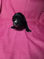 processed/a4f6803f-876d-4999-aed7-f05ecd193936/listing/720ce182-d3a4-454d-8e06-57dce83c69fd/faa447ba-44fc-4817-b2aa-73c120ec0b91