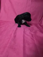 processed/a4f6803f-876d-4999-aed7-f05ecd193936/listing/720ce182-d3a4-454d-8e06-57dce83c69fd/ff58922f-0379-4026-a2f2-3971747bba0f