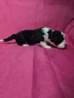 processed/a4f6803f-876d-4999-aed7-f05ecd193936/listing/7cd051f8-a755-42ee-9543-22028f3ad2a0/43b295ac-59ed-43e8-8f99-0499aff38390