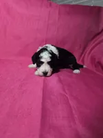 processed/a4f6803f-876d-4999-aed7-f05ecd193936/listing/7cd051f8-a755-42ee-9543-22028f3ad2a0/e35de331-c84f-419d-8740-5c1a2bd26275