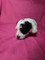 processed/a4f6803f-876d-4999-aed7-f05ecd193936/listing/9b1cf529-f229-4d03-8e8a-fe6864203f83/610945a9-ee5f-4ec4-9675-89454d1993f0