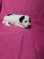 processed/a4f6803f-876d-4999-aed7-f05ecd193936/listing/9b1cf529-f229-4d03-8e8a-fe6864203f83/aee1c5ad-76b1-47c5-8ff9-4f69e94cb5d1