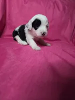 processed/a4f6803f-876d-4999-aed7-f05ecd193936/listing/d1d0fad2-7e9f-453b-bfd7-61d8d11d1ec7/2e5339e9-180b-47bb-83ad-877f8b401b98