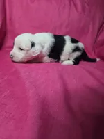 processed/a4f6803f-876d-4999-aed7-f05ecd193936/listing/d1d0fad2-7e9f-453b-bfd7-61d8d11d1ec7/7b11a96a-5813-47d2-a1c1-4bf2bcba6995