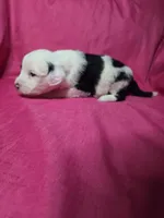 processed/a4f6803f-876d-4999-aed7-f05ecd193936/listing/d1d0fad2-7e9f-453b-bfd7-61d8d11d1ec7/80720084-2761-475d-9afc-3b90faffd526