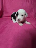 processed/a4f6803f-876d-4999-aed7-f05ecd193936/listing/d1d0fad2-7e9f-453b-bfd7-61d8d11d1ec7/fef43f3b-8e0e-456f-b894-53c3d81d71cf