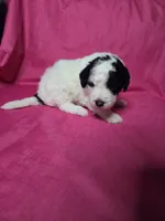 processed/a4f6803f-876d-4999-aed7-f05ecd193936/listing/f3717409-466e-437b-bdfe-66735dec4097/5fa0b601-ec79-4c07-887c-7ce997891754