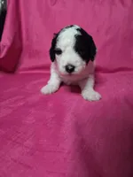 processed/a4f6803f-876d-4999-aed7-f05ecd193936/listing/f3717409-466e-437b-bdfe-66735dec4097/ad5c70e0-4727-4e75-bd1a-c3886a4fbac3