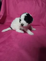 processed/a4f6803f-876d-4999-aed7-f05ecd193936/listing/f3717409-466e-437b-bdfe-66735dec4097/b7d3d833-a340-4996-8261-c7b3691518de