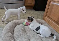 processed/a4f849c9-bb64-48e5-9f55-2040a0526432/listing/53cc6abc-085f-429a-8115-0ad53284d8f5/96702486-a605-4abd-bdc3-83dc8de19060