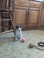 processed/a4f849c9-bb64-48e5-9f55-2040a0526432/listing/53cc6abc-085f-429a-8115-0ad53284d8f5/cb9d4cf0-5a8f-467e-b002-ac3d0c271016