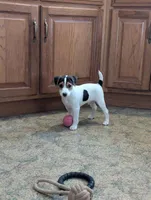 processed/a4f849c9-bb64-48e5-9f55-2040a0526432/listing/53cc6abc-085f-429a-8115-0ad53284d8f5/db20b3e0-2c63-4d87-9ebb-d7dd753d0da8