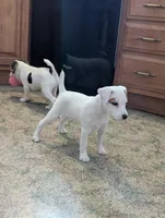 processed/a4f849c9-bb64-48e5-9f55-2040a0526432/listing/efcab75e-6a15-4efb-ae69-50218031ebdf/29eed445-0740-4148-8cd8-ae18d626d928