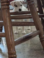 processed/a4f849c9-bb64-48e5-9f55-2040a0526432/listing/efcab75e-6a15-4efb-ae69-50218031ebdf/a58448b4-d303-42d3-bc55-eb45867a1aa5