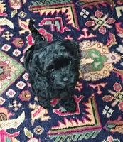 processed/a50f6bdd-f1d1-4acf-b8c5-354f8031ad68/listing/bccede61-a82f-412b-b18b-d67e622a1017/1ee8b921-26bc-4caf-8a5f-153544b5a636