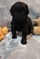 processed/a50f6bdd-f1d1-4acf-b8c5-354f8031ad68/listing/bccede61-a82f-412b-b18b-d67e622a1017/2a7c3b01-1e65-4139-975c-1a5267fb4e02