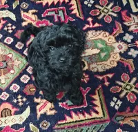 processed/a50f6bdd-f1d1-4acf-b8c5-354f8031ad68/listing/bccede61-a82f-412b-b18b-d67e622a1017/41d27fad-5bce-4690-bb70-f058658412e7