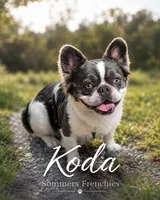 Koda , a male French Bulldog for sale in Miami, OK – 2 of 10