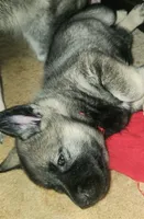 processed/a5169b36-5e04-490c-bb33-b0e619665040/listing/698e3c43-c65e-4a07-8ced-475943f42a8f/9eef8af0-c258-42b2-989b-c3b368b8cd48