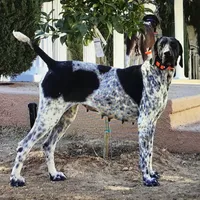 processed/a51c1bbe-9c05-41d2-8d45-7ea6b9083edd/facility/0d3a08cd-f104-4ea6-9b6d-343318771e4e