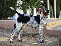 processed/a51c1bbe-9c05-41d2-8d45-7ea6b9083edd/facility/0d3a08cd-f104-4ea6-9b6d-343318771e4e